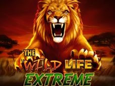 The Wild Life Extreme