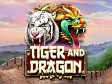 Tiger and Dragon