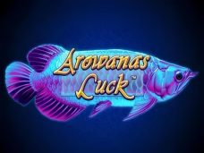 Arowanas Luck