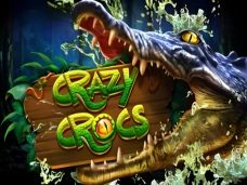 Crazy Crocs