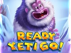 Ready Yeti Go