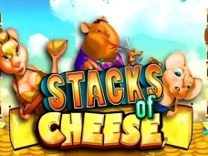 Stacks of Cheese