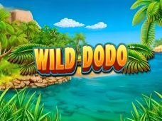 Wild Dodo