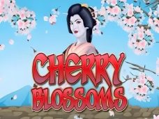 Cherry Blossoms Mini