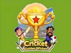 Cricket Golden Wicket