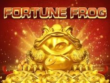 Fortune Frog