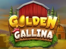 Golden Gallina