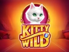 Kitty Wild