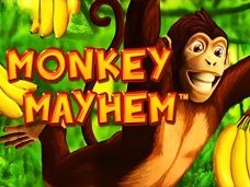 Monkey Mayhem