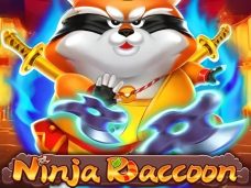 Ninja Raccoon