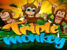 Triple Monkey