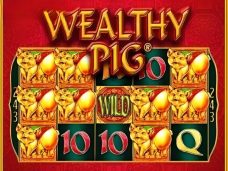 Wealthy Pig