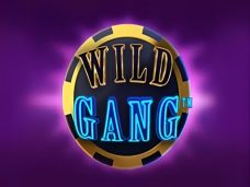 Wild Gang