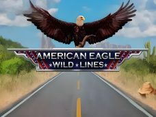 Wild Lines American Eagle