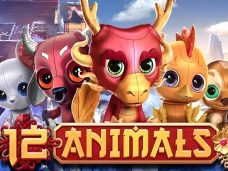 12 Animals