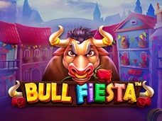 Bull Fiesta