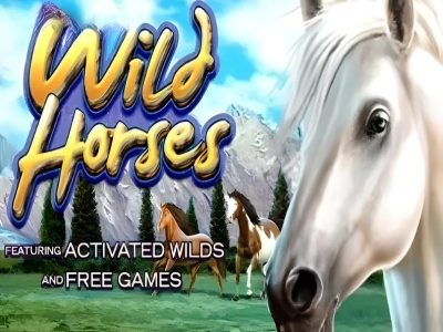 Wild Horses