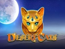 Desert Cats