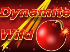 Dynamite Wild