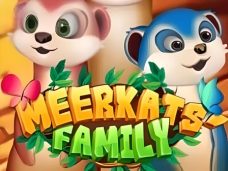 Meerkats Family