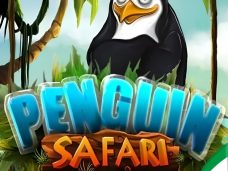 Penguin Safari