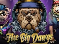 The Big Dawgs