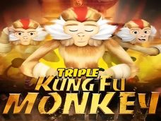 Triple Kung Fu Monkey