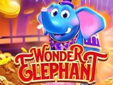 Wonder Elephant