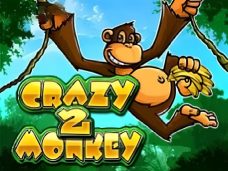 Crazy Monkey 2