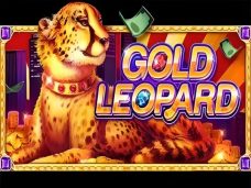 Gold Leopard