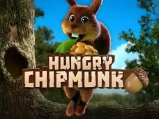 Hungry Chipmunk