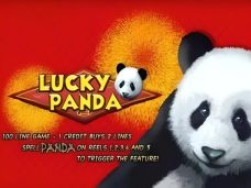 Lucky Panda