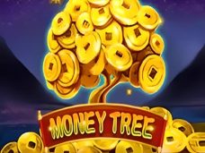 Money Tree