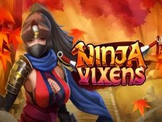 Ninja Vixens