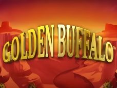 Golden Buffalo