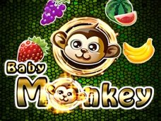 Baby Monkey