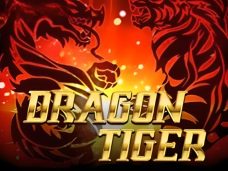 DragonTiger