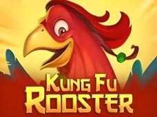 Kung Fu Rooster