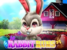 Rabbit Runs