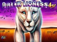 Silver Lioness 4x