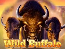 Wild Buffalo