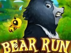 Bear Run