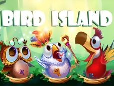 Bird Island