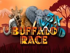 Buffalo Race