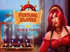 Fortune Islands: Single Player