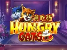 Hungry Cats