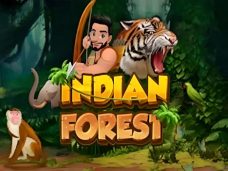 Indian Forest