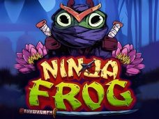 Ninja Frog