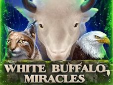 White Buffalo Miracles