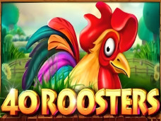 40 Roosters